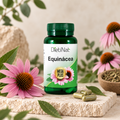 Equinácea MEGAPLUS 60 capsulas Dietinat