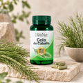 Cola de Caballo MEGAPLUS 60 capsulas Dietinat